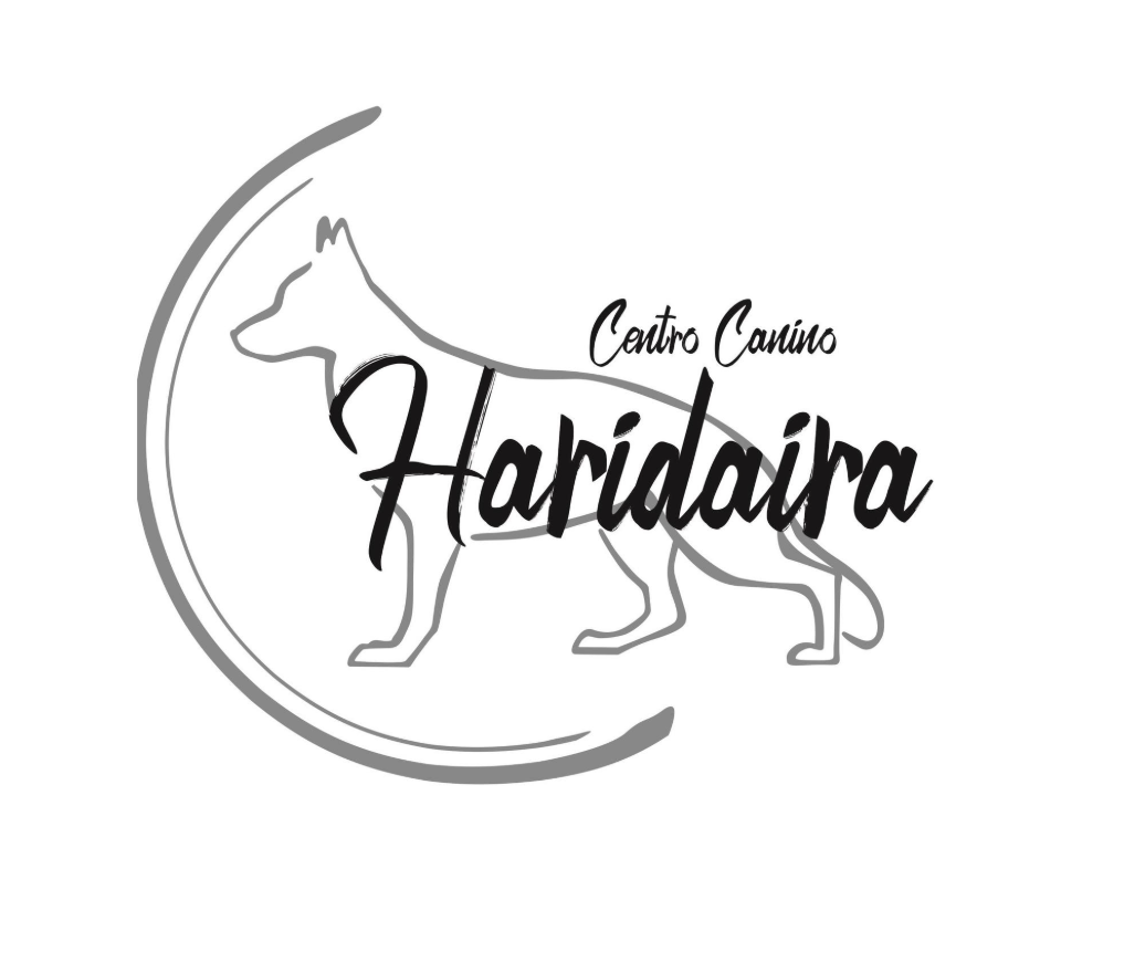 Captura de pantalla 2026-03-06 083808