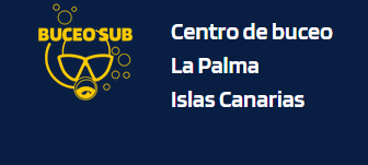 Captura de pantalla 2026-06-19 110158
