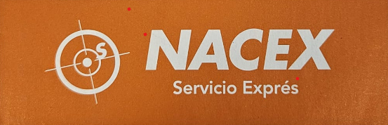 LOGO NACEX