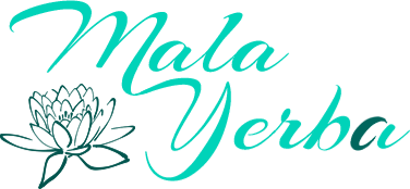 logo-1.png