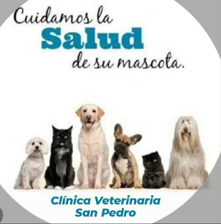 Clínica Veterinaria San Pedro