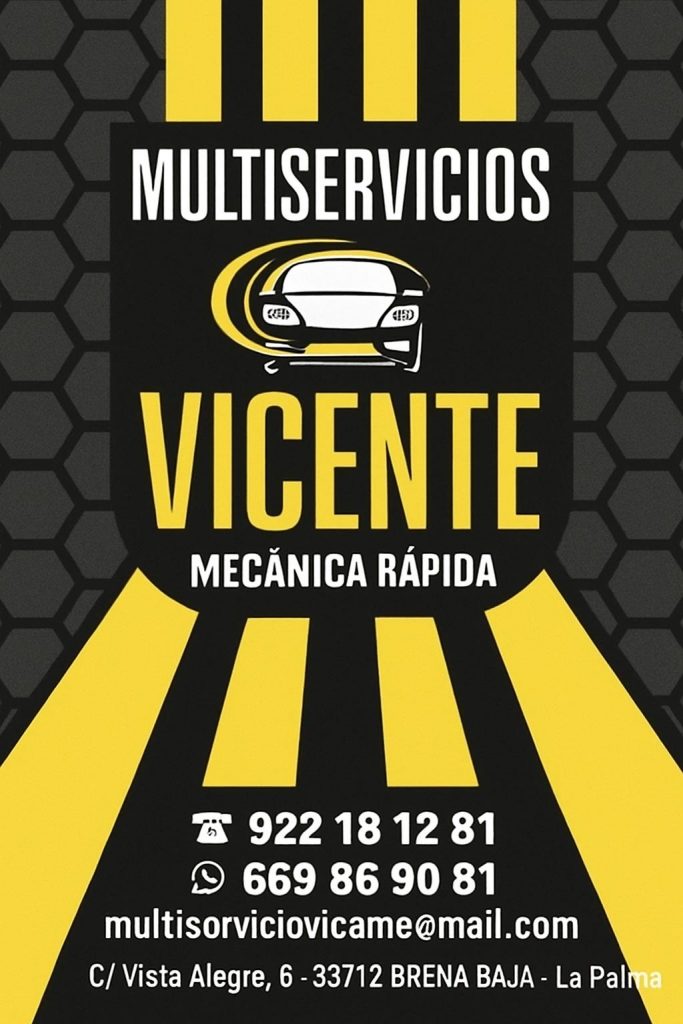 Multiservicios Vicente